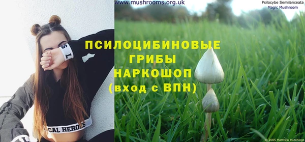 амфетамин Алексеевка