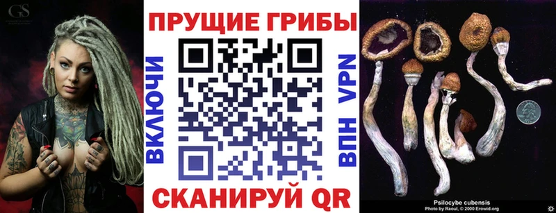 как найти   Навашино  Псилоцибиновые грибы GOLDEN TEACHER 