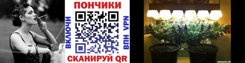 omg как зайти  где купить наркоту  Навашино  Бошки Шишки семена 